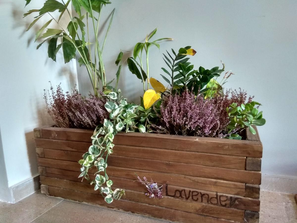 Lavender Apartment Kalamata Exterior photo